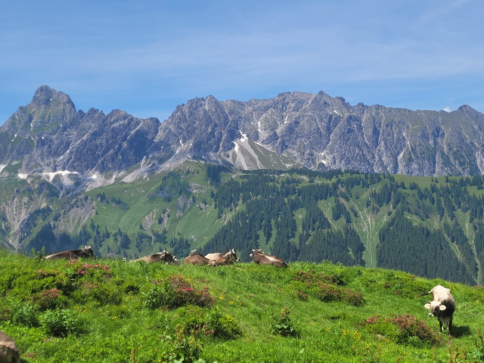 Sommer Informationen,  Montafoner Klettersteige