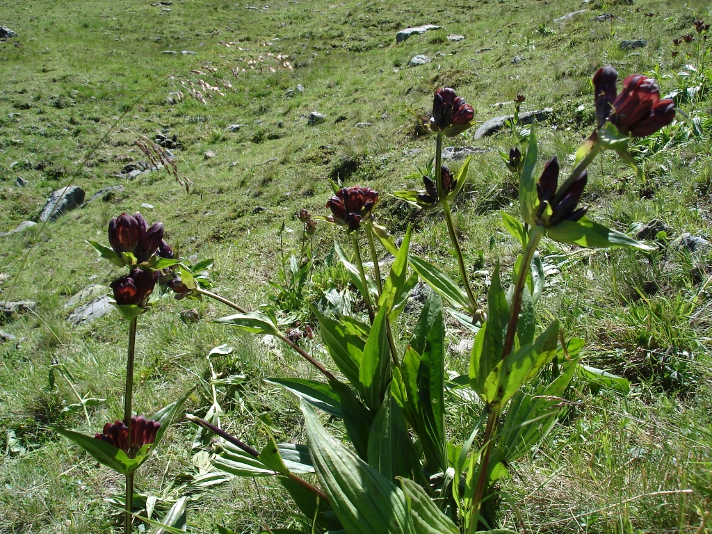 2010:08:09 13:32:34