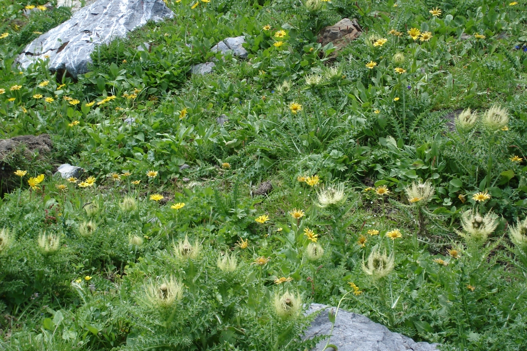 2008:08:25 11:00:30