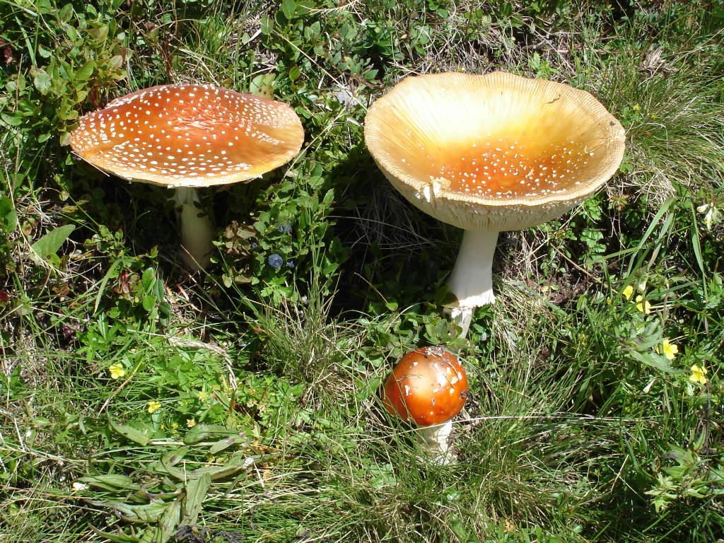 2011:08:12 13:45:24
