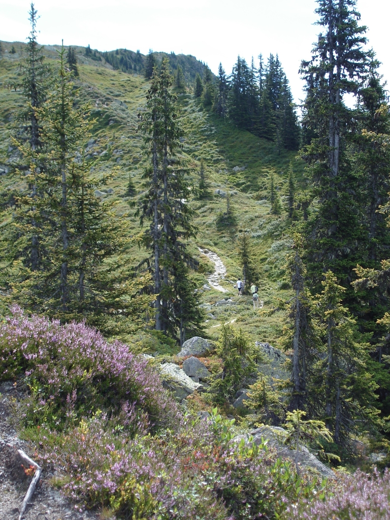 2011:08:14 10:56:08