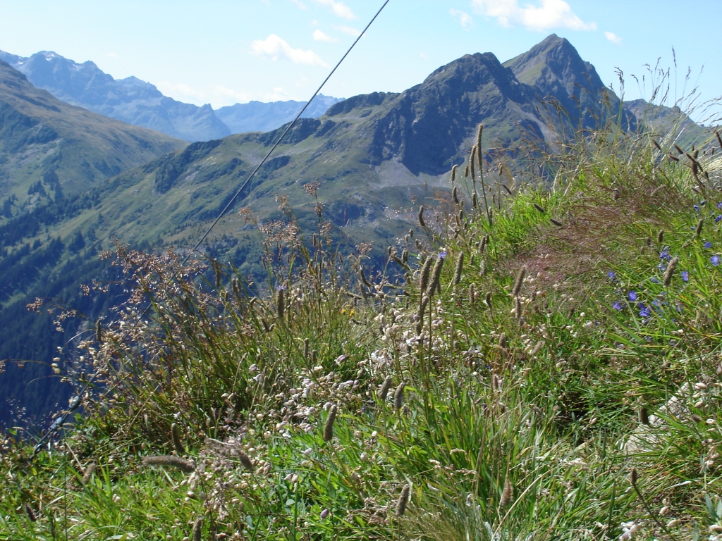 2011:08:14 12:09:55