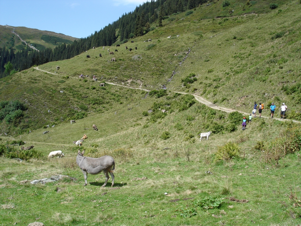 2011:08:14 14:12:43