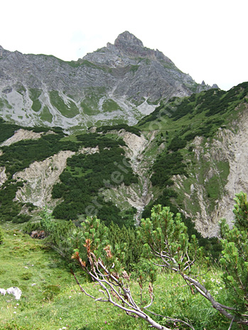 Zimba 2.643 m