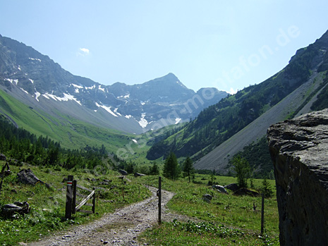 Almweg zur Oberzalim-Hütte, Panüeler Kopf 2.859 m